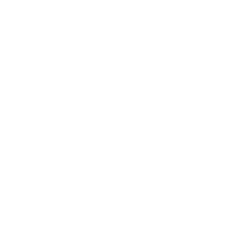 steinhaus1718.de